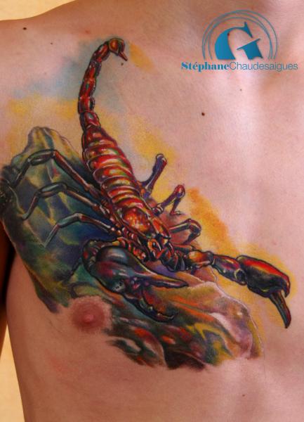 tatouage_réaliste_scorpion_tattoo_aurillac_meilleur_tatoueur_auvergne