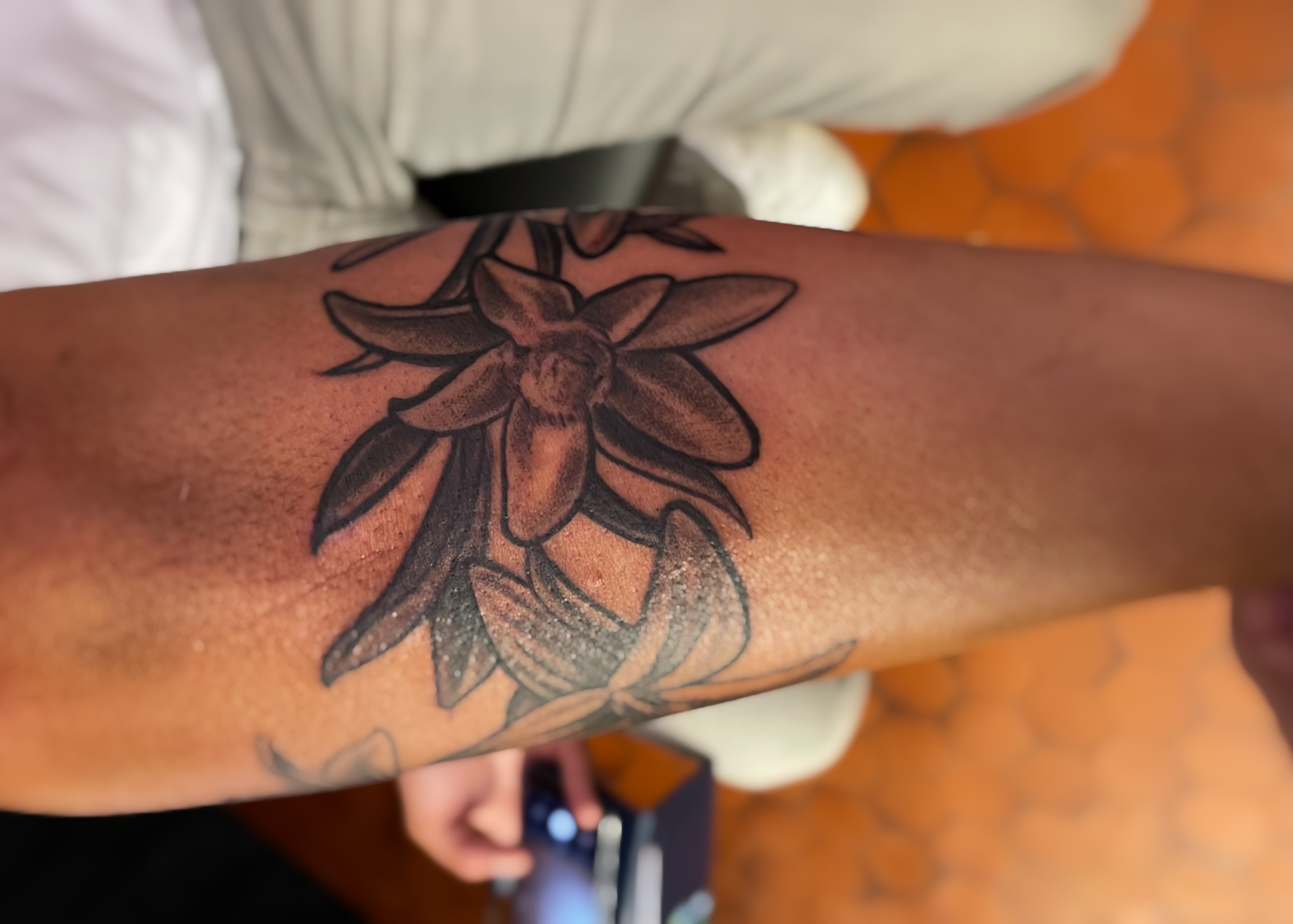 edelweiss-fleurs-lys-stephane-chaudesaigues-tatoueur