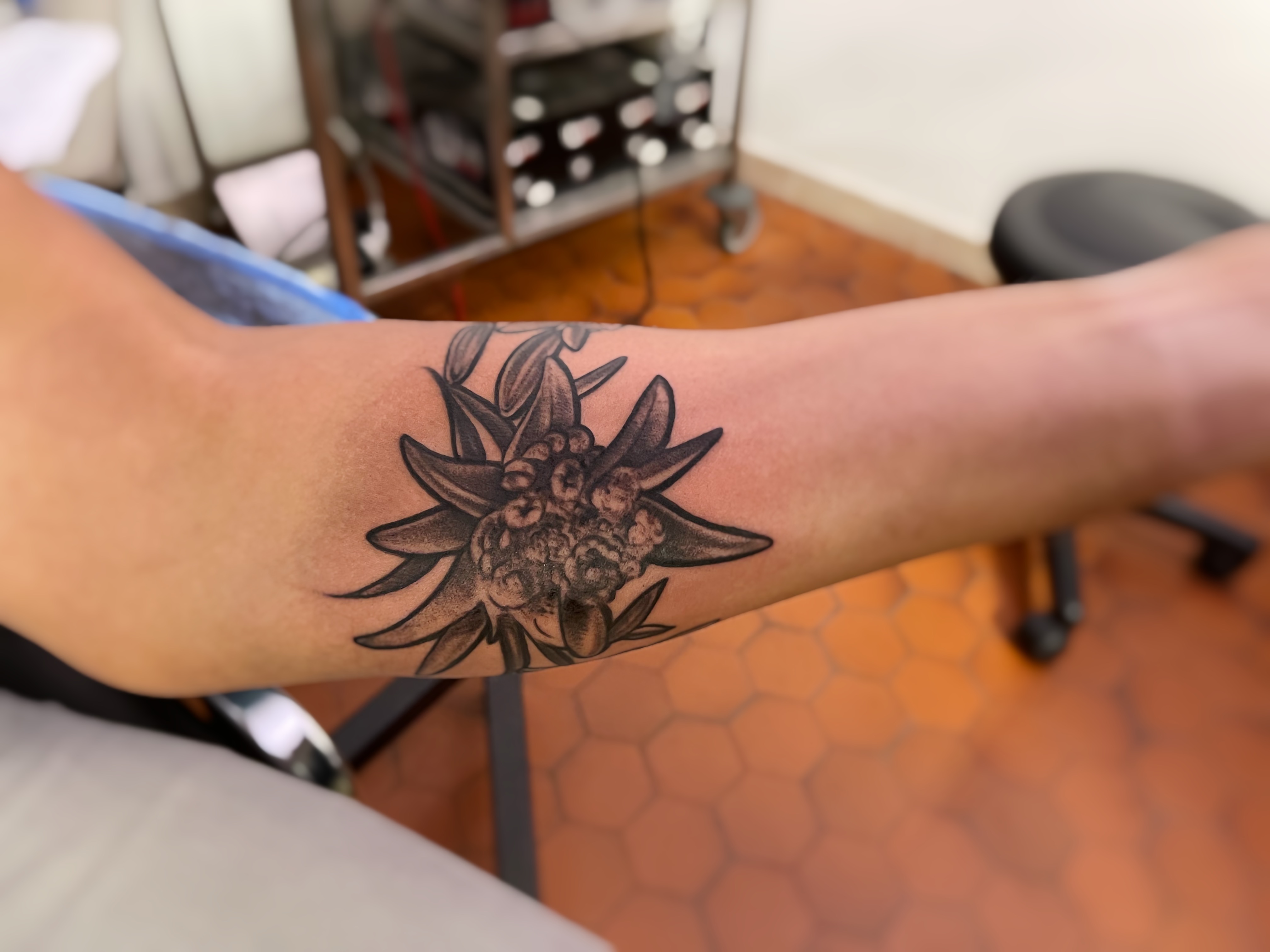 edelweiss-fleurs-lys-stephane-chaudesaigues-tatoueur