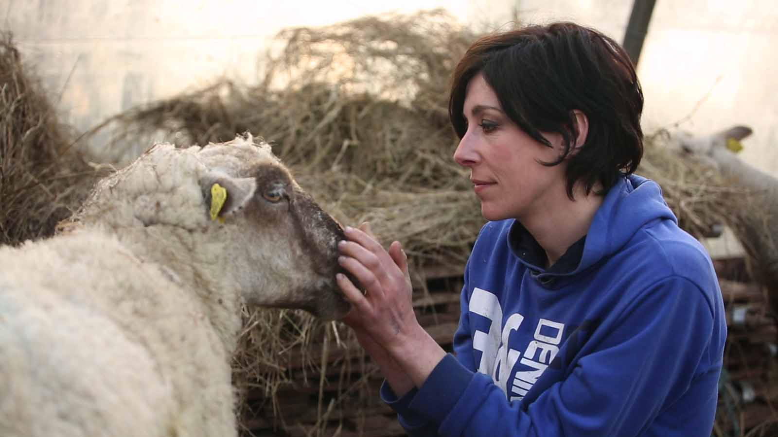 jeune-berge-stephane-chaudesaigues-documentaire-film-nature