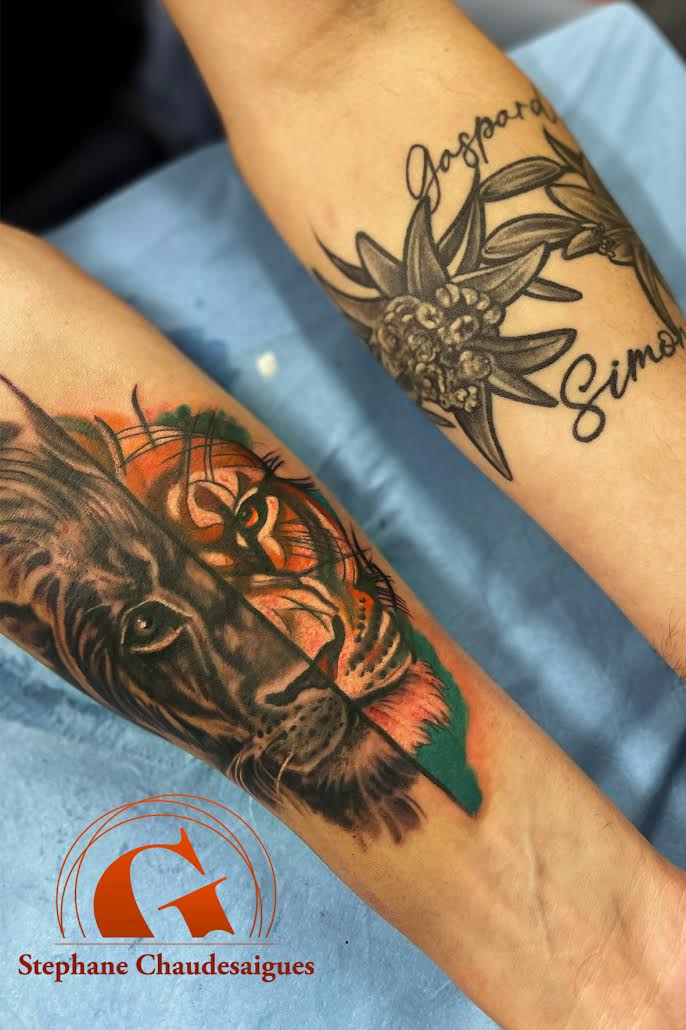 lion-tatouage-homme-couleur-atelier-tatouage-tattoo-graphicaderme-chaudesaigues-avignon