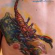 stephane_chaudesaigues_auvergne_cantal_tattoo_scorpion-avignon.