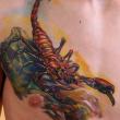 tatouage_réaliste_scorpion_tattoo_aurillac_meilleur_tatoueur_auvergne