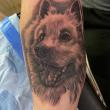 tatoueur-saint-flour-avignon-stephane-chaudesaigues-chien-tatouage-realiste