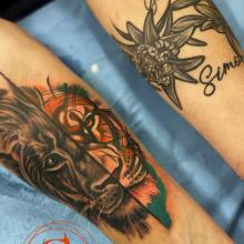 lion-tatouage-homme-couleur-atelier-tatouage-tattoo-graphicaderme-chaudesaigues-avignon