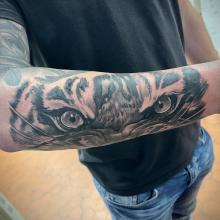 stephane-chaudesaigues-tatouage-oeil-tigre