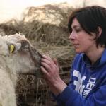 jeune-berge-stephane-chaudesaigues-documentaire-film-nature