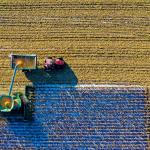 stephane-chaudesaigues-salon-agriculture-chine-chinois