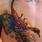 stephane_chaudesaigues_auvergne_cantal_tattoo_scorpion-avignon.