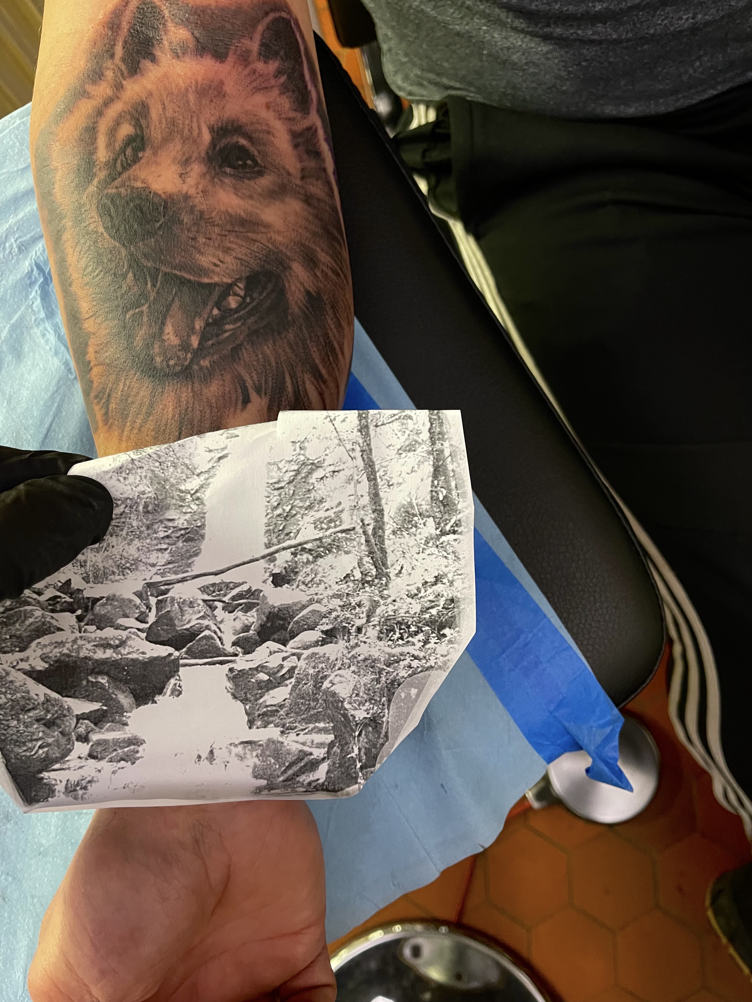 tatoueur-saint-flour-avignon-stephane-chaudesaigues-chien-tatouage-realiste