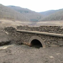 Le premier jour au Festival du Tatouage 2014 : programme