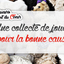 Une collecte de jouets pour la bonne cause