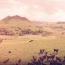 Le vidéo teasing du Cantal Ink 2016 est prête
