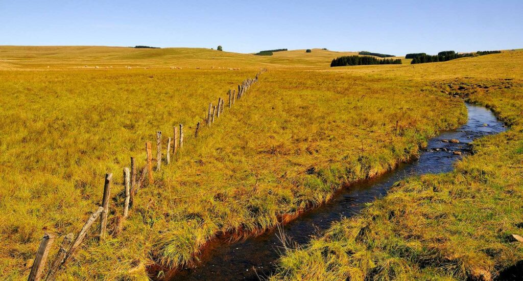 Paysage de l’Aubrac classé Parc Naturel Régional entre Cantal, Aveyron et Lozère
