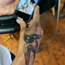 Une hirondelle a fait l’été