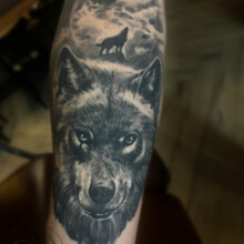 Un loup réaliste, fier et mystérieux, fixe l'horizon avec ses yeux perçants.