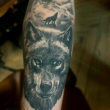 Loup, Gévaudan et tatouage : une présence qui traverse le territoire