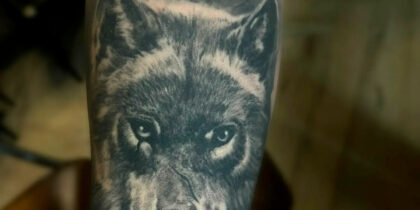 Loup, Gévaudan et tatouage : une présence qui traverse le territoire