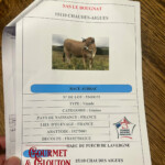 restaurant, gastronomie, Auvergnate, viande, Aubrac, fête, musique, Chaudes-Aigues - Gourmet & Glouton