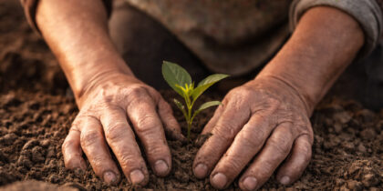 Agriculteurs en marche : le pays réel face au règne des petits marquis