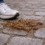 Déjection canine non ramassée sur un trottoir pavé du centre de Chaudes-Aigues