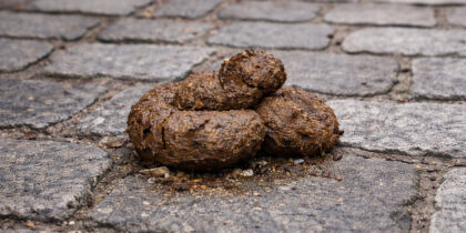 Propreté dans les rues de Chaudes-Aigues : une question de respect et de cohérence