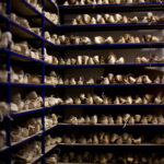 Rayonnages de formes de chaussures dans l’atelier John Lobb