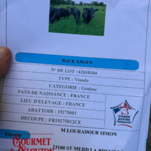 Pourquoi je m'intéresse aux races bovines : derrière une belle viande, il y a toute une histoire