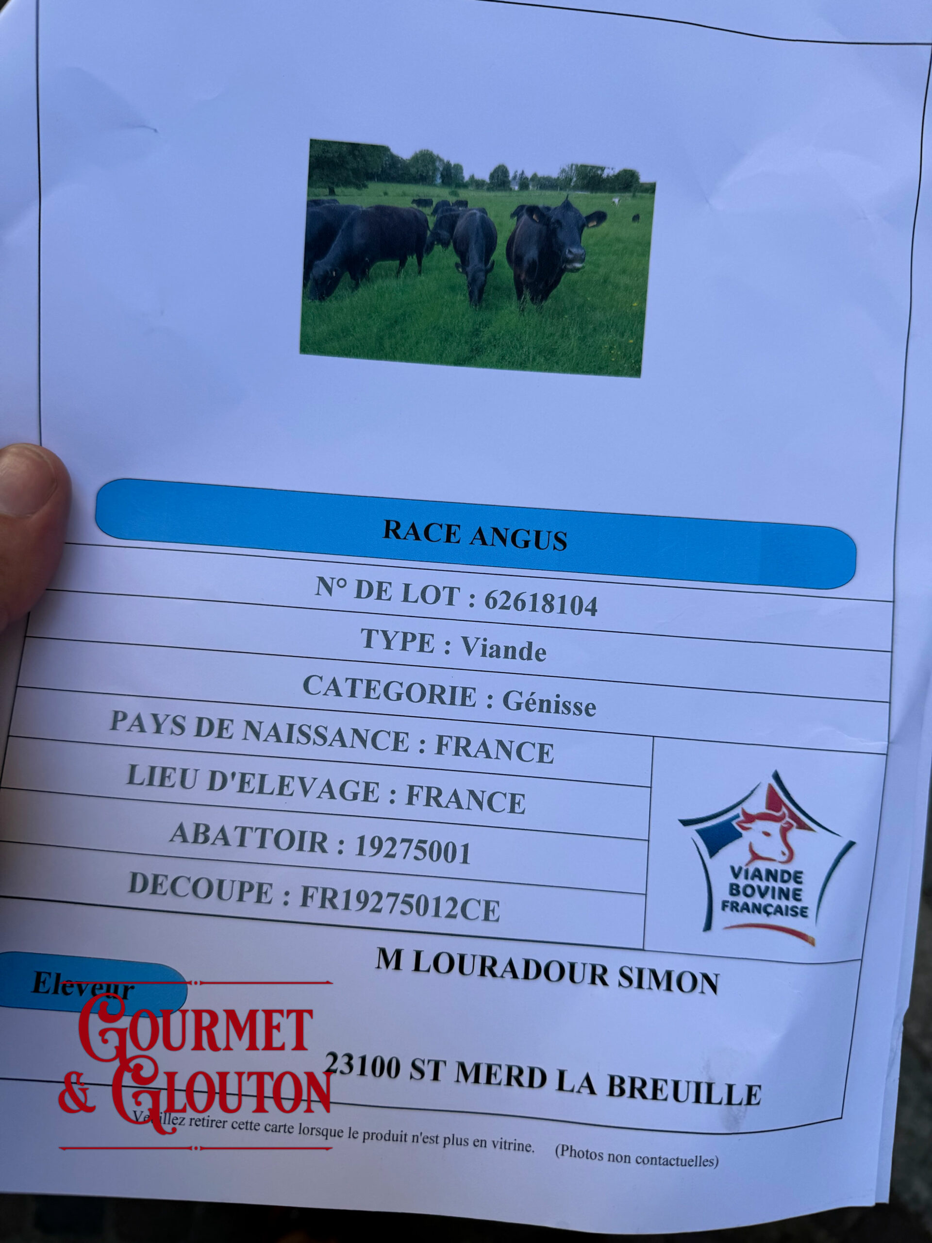 Pourquoi je m’intéresse aux races bovines : derrière une belle viande, il y a toute une histoire